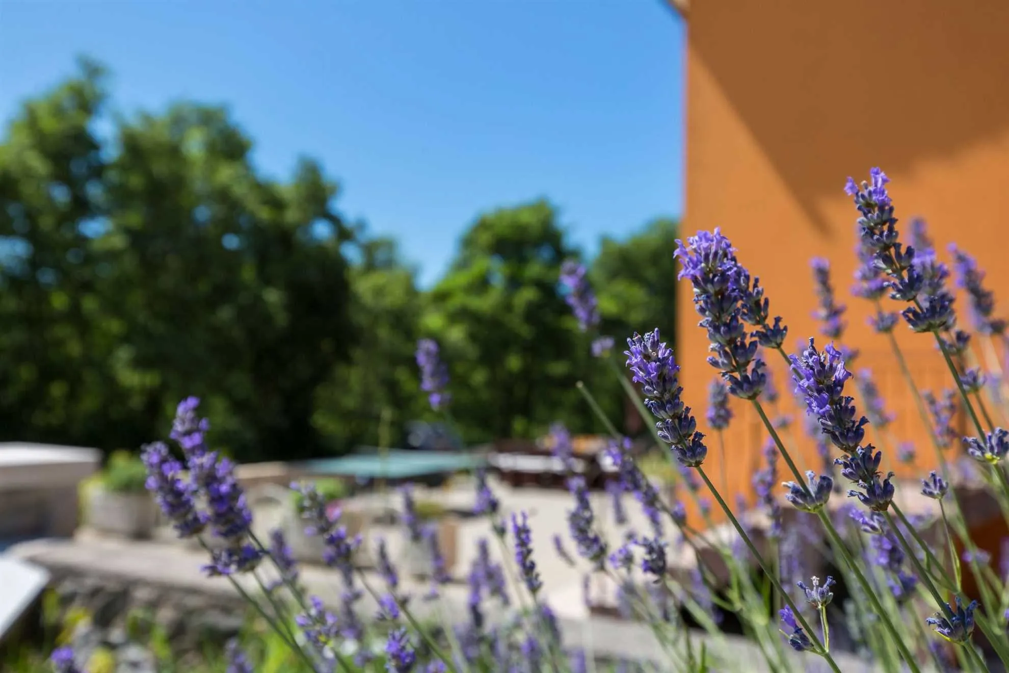 Holiday Home Villa Flavia
